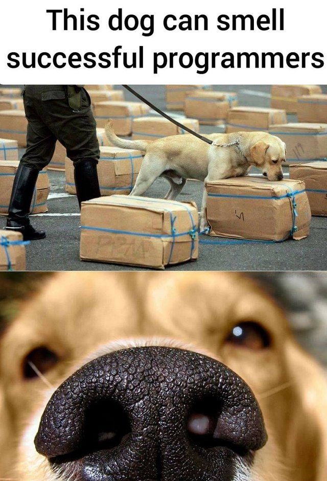 lombdev's tweet image. 