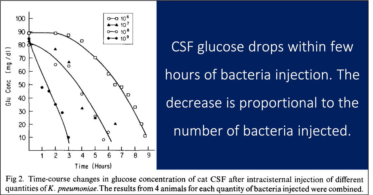 4/One of the first hypotheses offered was that the pathogenic bacteria consume glucose.There are some experimental data supporting this. One study found that injection of bacteria into the CSF decreased glucose within a few hours. https://pubmed.ncbi.nlm.nih.gov/6374041/ 