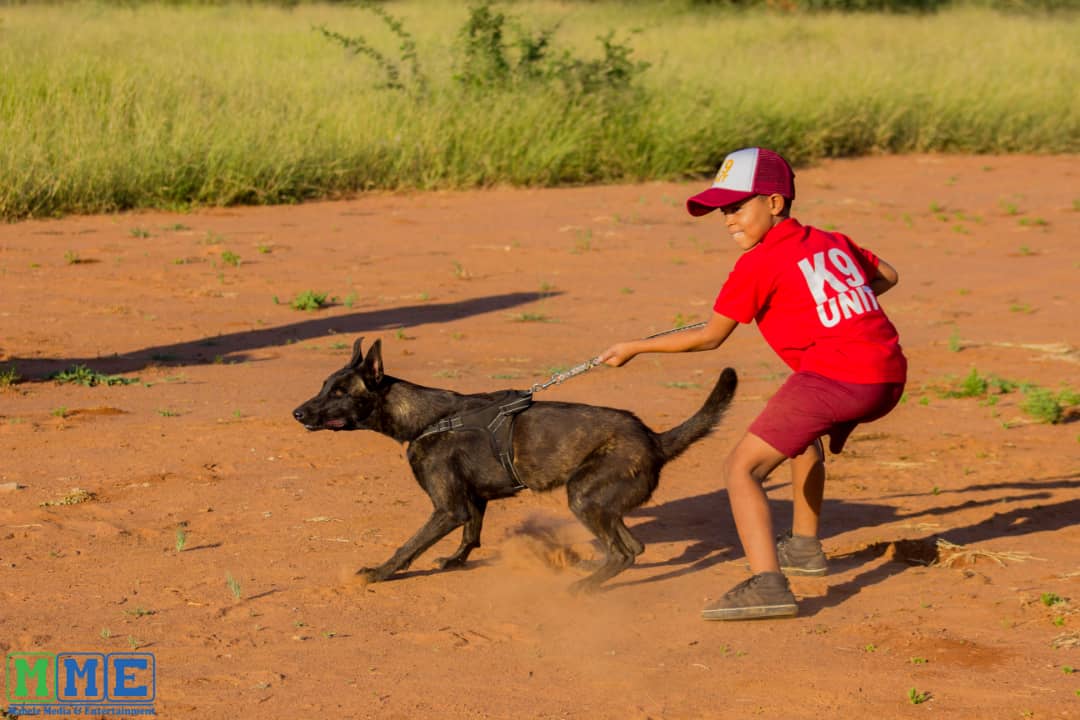 kedivdw's tweet photo. #WEAREPAWBUDDIES
#WEARETHEINCREDIBLETEAM
#WEAREDAFUTURE
#doglovers
#dogwhisperers https://t.co/v5kaFQYBmi
