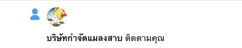 แมลงสาบ tweet media