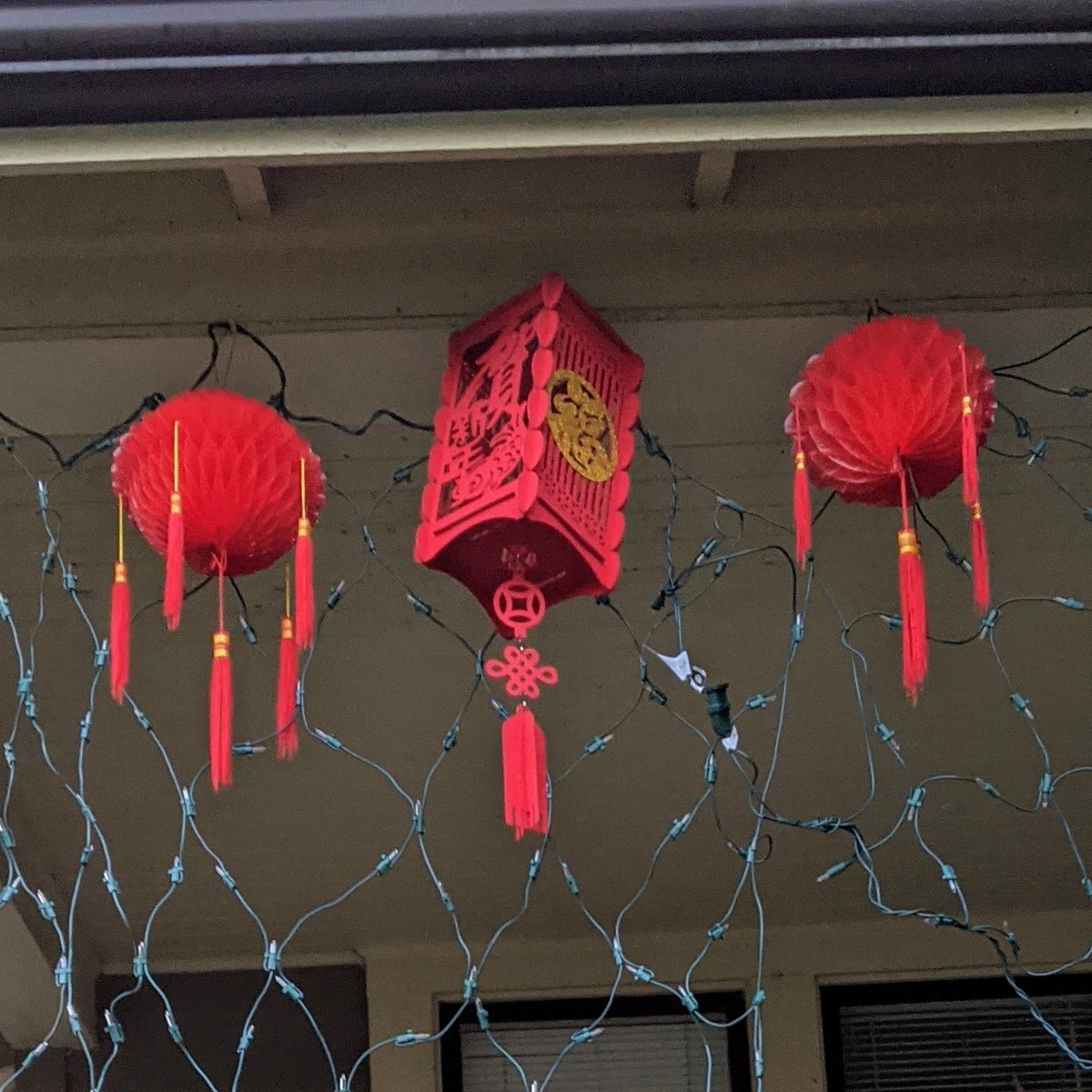So if you want to see the greatest concentration of Chinese Lunar New Year decorations outside of actual China, come to Sapperton. We got the goods.