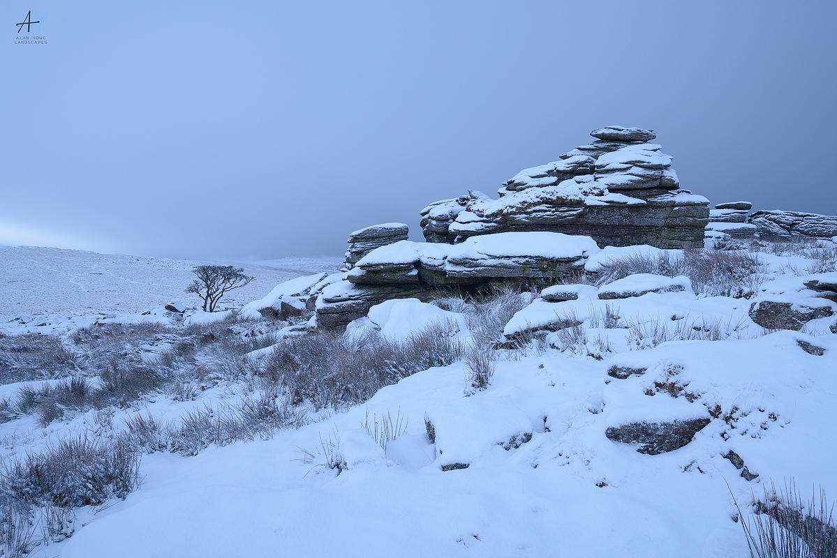 AlanHowe3's tweet image. Who's for a slice of iced cake? Anyone? 
I've a glut of snowy pictures taken over the winter to share so brace yourself. 
#KaseFiltersUKProPartner #CaptureWithConfidence #BenroLetsGo #BenroUK