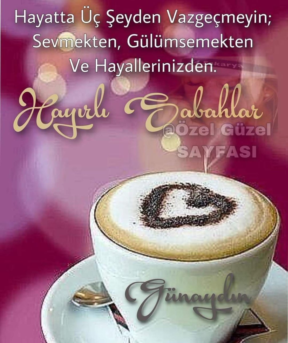 hanefi keleşoglu (@hanefikeleoglu1) on Twitter photo 