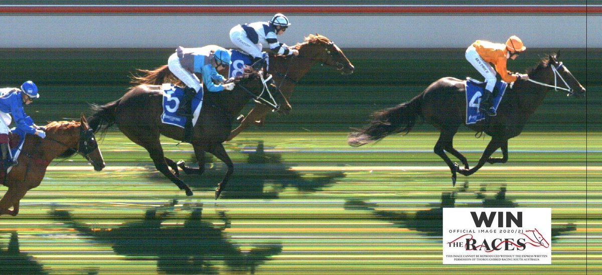 Ben Price has quickly outridden his 4kg with his fifth win today for his master Travis Doudle on Wicked Whitt. The Whittington mare is owned by Ross and Jill Bourne. <a href="/DoudleRacing/">Travis Doudle Racing</a> <a href="/BpriceBen/">Ben Price</a>