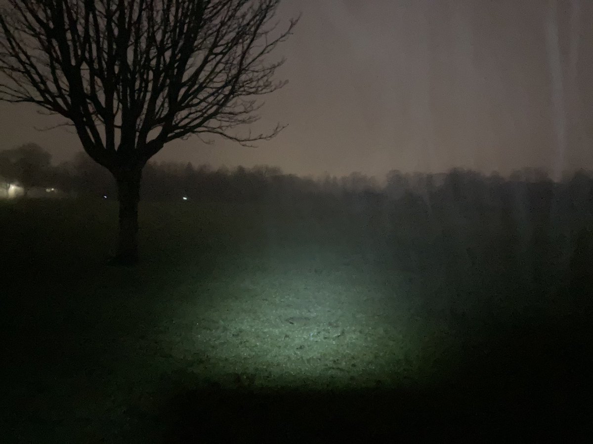 flissy_d's tweet photo. Love dark mornings in llandaff fields alone #nooneinsight https://t.co/2ZUJthtI9f