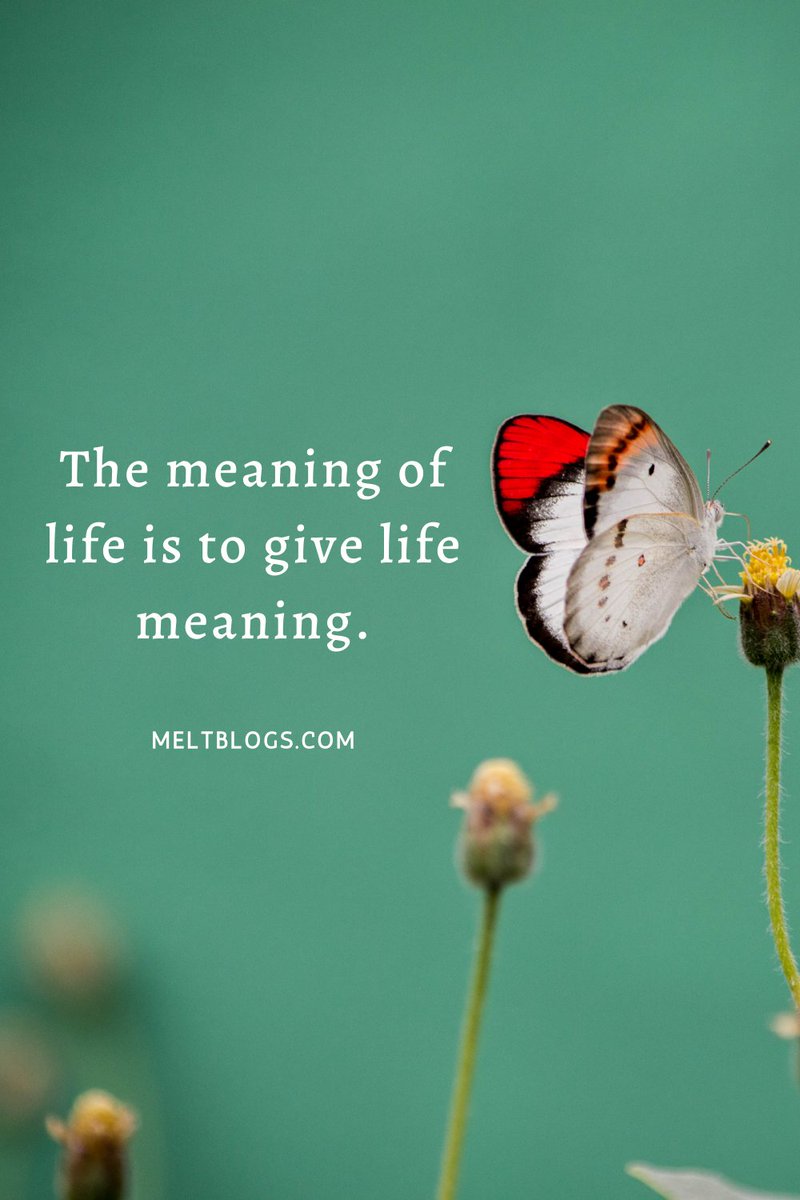 Meltblogs (@theory_motive) on Twitter photo 