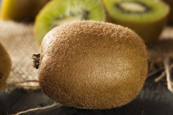 "Kiwi" = sorte de fruit"Kiwi" = sorte d'oiseauPour le coup c'est peut-être lié au fait que les deux se ressemblent ?JE VOUS LAISSE VOUS FAIRE VOTRE PROPRE OPINION