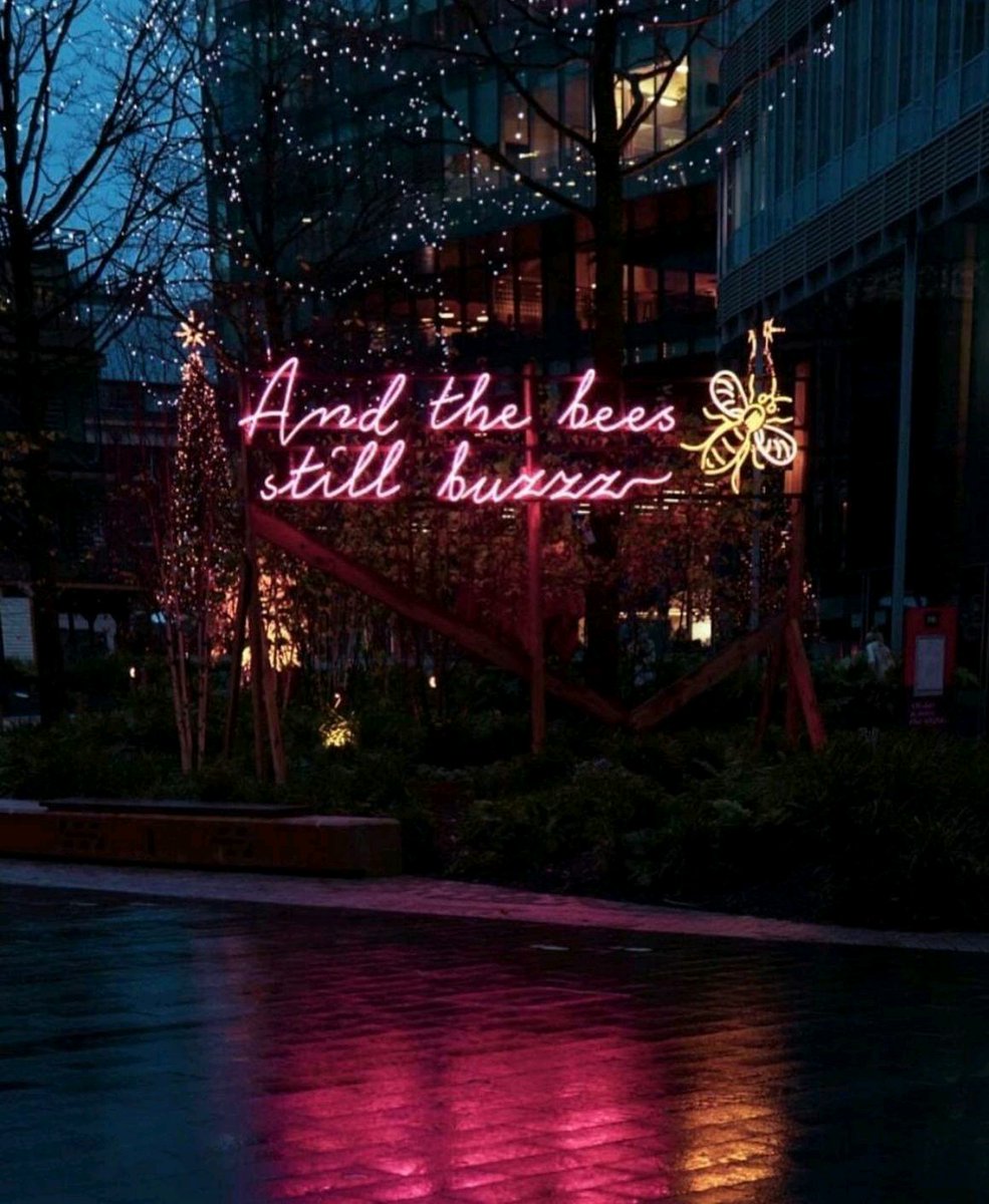 ThePAGuide_MAN's tweet photo. Love this image by #instagrams willowbytheriver_  ❤ 💪🏼🐝 

#Manchester #andthebeesstillbuzzz https://t.co/7GMhAPqAlS