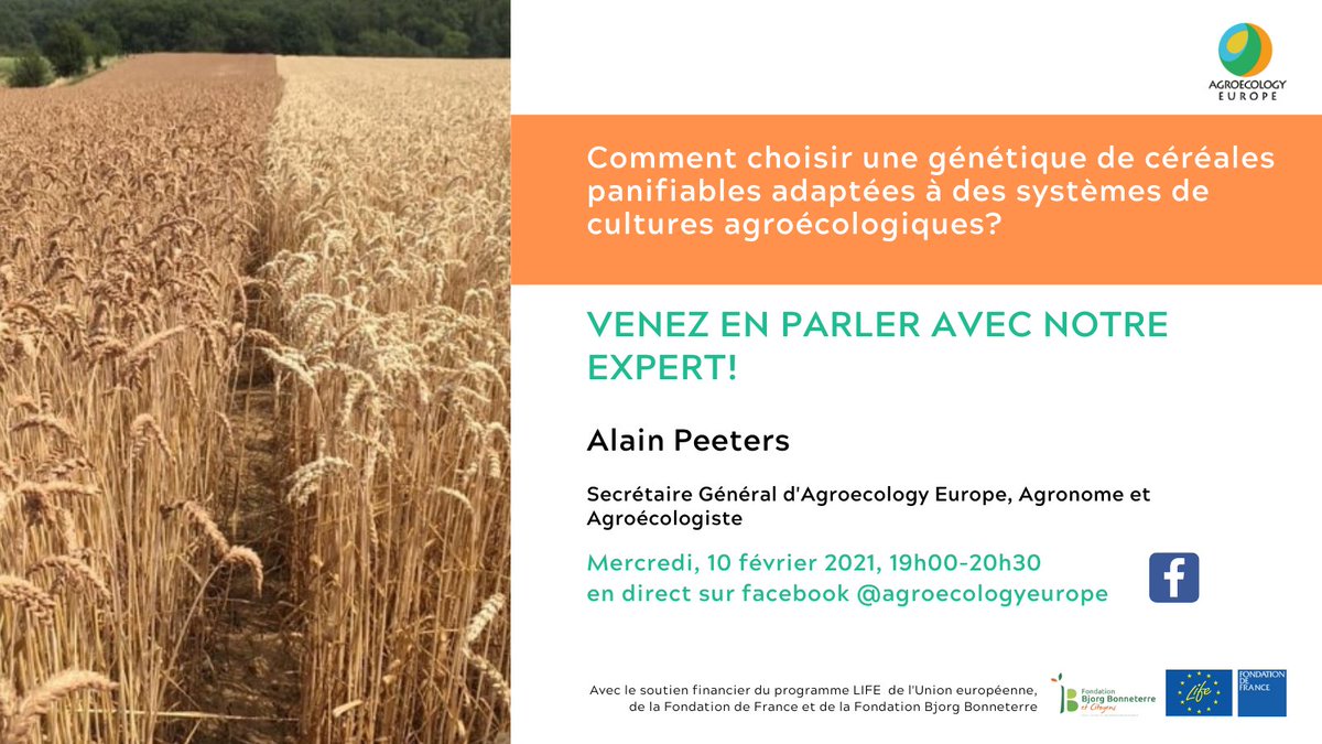 AgroecologyE's tweet photo. Save the date for our next Webinar on how to choose a genetics of #breadcereals adapted to #agroecologicalsystems? Join our webinar in French on Wednesday 10/02, live on our FB! #agroecology #organiccereals #cereals #organicagriculture @APeeterss https://t.co/DmUr6RY6Nq