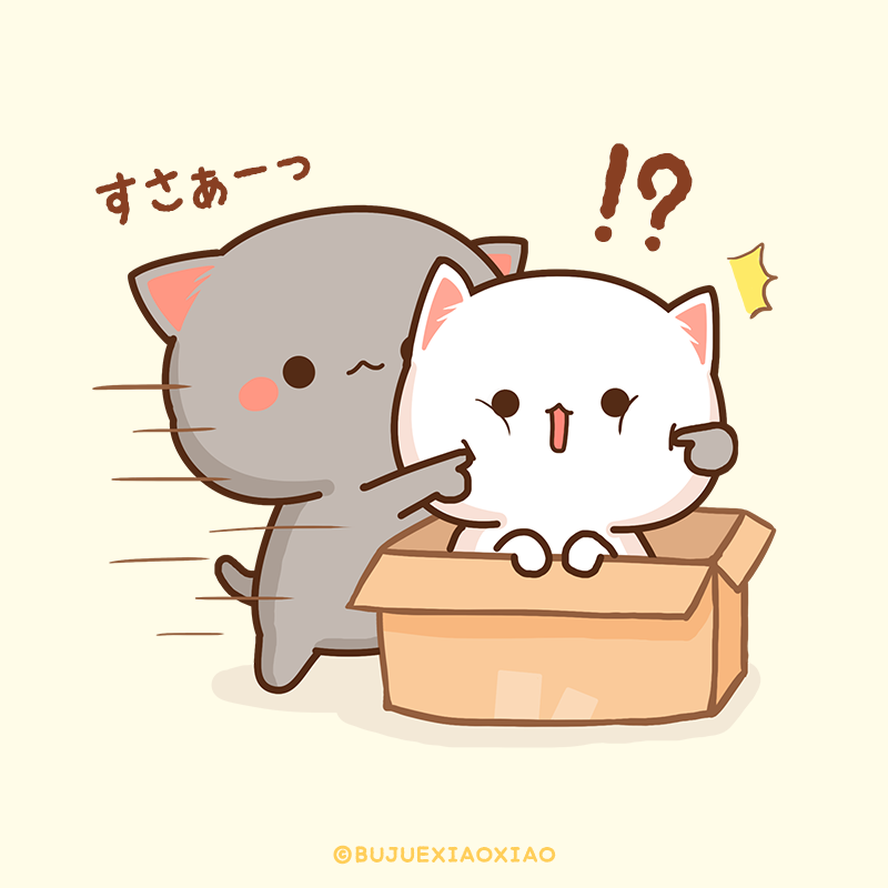 ももねこちゃんとごまくん ももねこちゃん ダンボールにむちゅうだったから びっくりさせてみた ももねこちゃん ごまくん ねこ