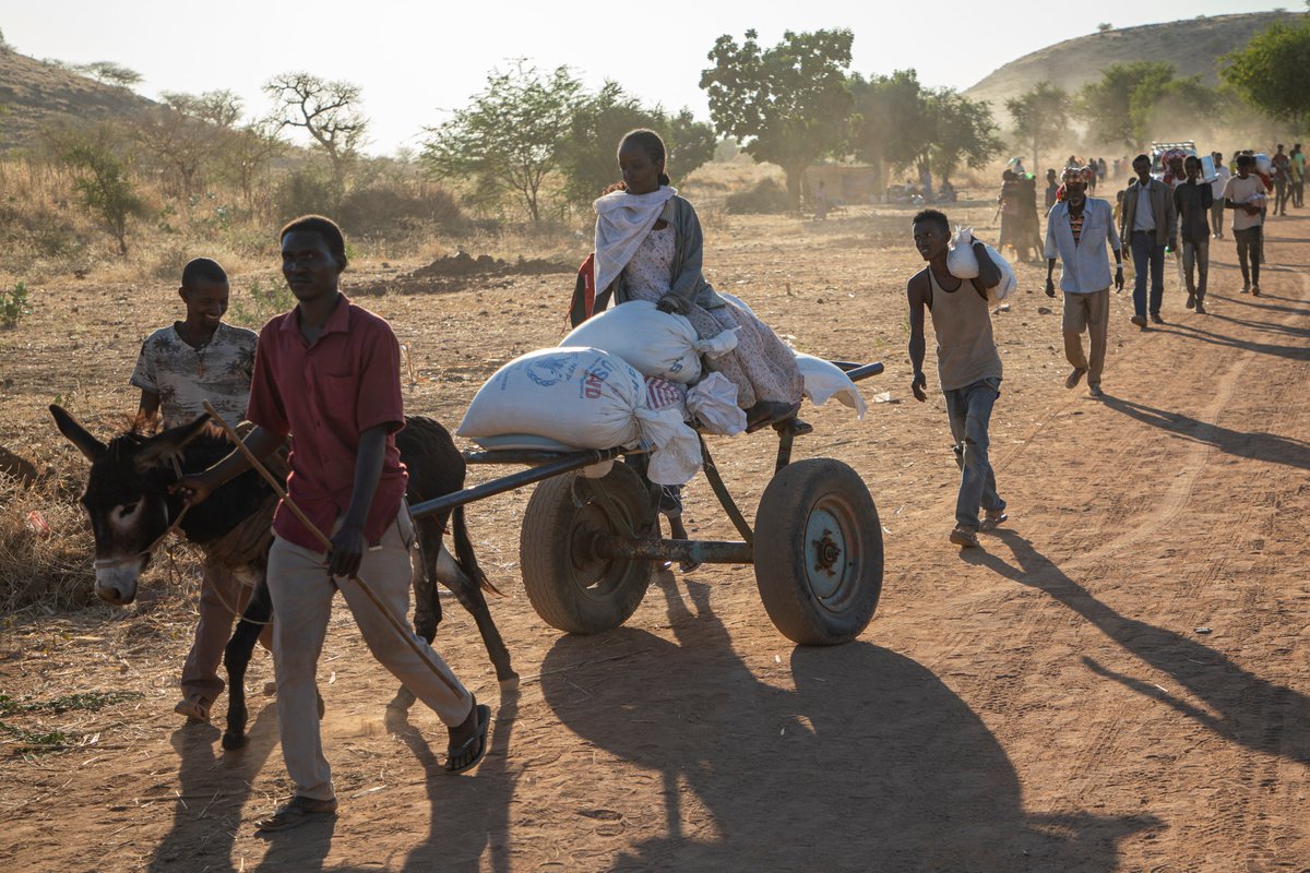 ProtectionClust's tweet photo. The situation in Tigray, Ethiopia, remains unstable and unpredictable. People continue to flee.  

Amidst reports of rising hunger, vandalism and collapsing health services, #Protection partners are raising the alarm over incidents of sexual violence and forced displacement. https://t.co/tudodCqUgi