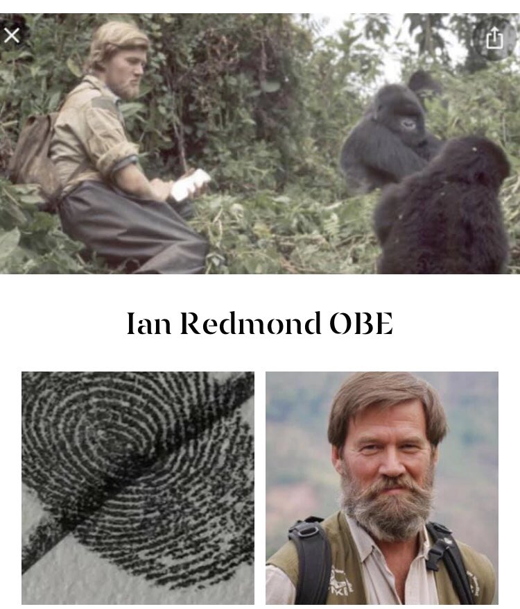 ElaineRartist's tweet photo. Thank you @4Apes for agreeing to add ypir #fingerprint to #SPOTtimespotTIME #conservationpanel https://t.co/h7V9k0HSfW #alllife #sittingequally #oneplanet #life https://t.co/OSwyXGfHgg