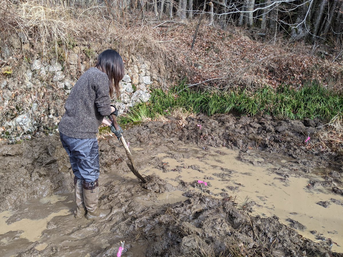 ながりな On Twitter 甲府にビオトープをつくるビオトー部 元環境保全団体でかげろう珈琲オーナー市川さん 農学部出身で森林組合の末木姉 妹たちとともに休耕田んぼを穴掘り ホタルやイモリ カエルたちの棲息地となることを目指して畦と島を作ってます 半日で