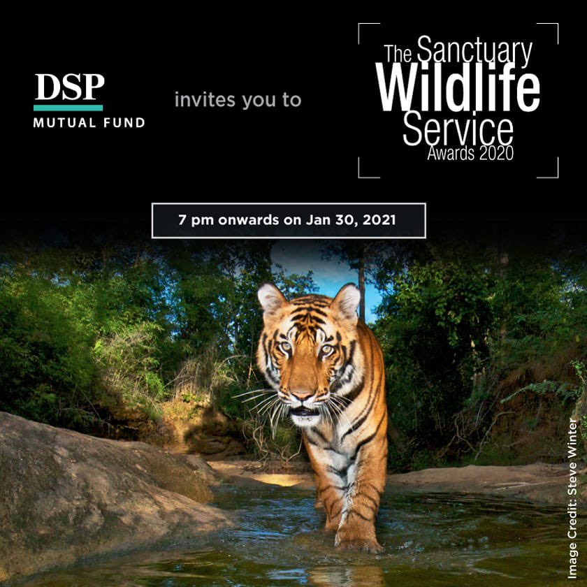 dspmf's tweet photo. Jungle call to all the Wildlife Enthusiasts.We’ve lined up something great for you- we’re a proud sponsor at the Sanctuary Wildlife Service Awards 2020 🙏

Join us to celebrate India’s Earth Heroes LIVE on Jan 30th,7 pm onwards: https://t.co/Xy2mkA3ARa

RT &amp; invite your friends😇 https://t.co/7DnIGmkhMS