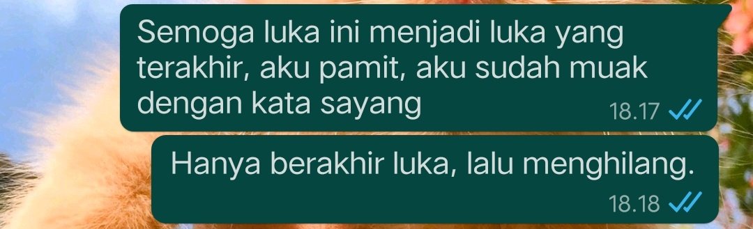 sunnycookiees's tweet photo. selamat, diriku berhasil melewati 1 tahun yang penuh sesak di dada. ternyata berpisah denganmu tidak seburuk itu🥀 https://t.co/OCFZg7TPst