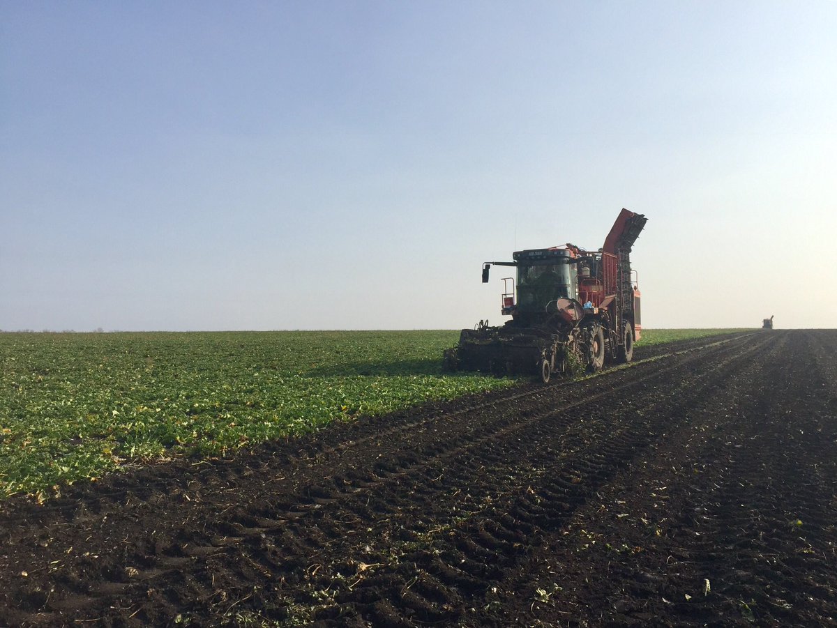 As the on-off neonicotinoid ban and arguments rage on, has our food production system become so fragile that one questionable 40 year old component is deemed so vital we can’t find an alternative solution?