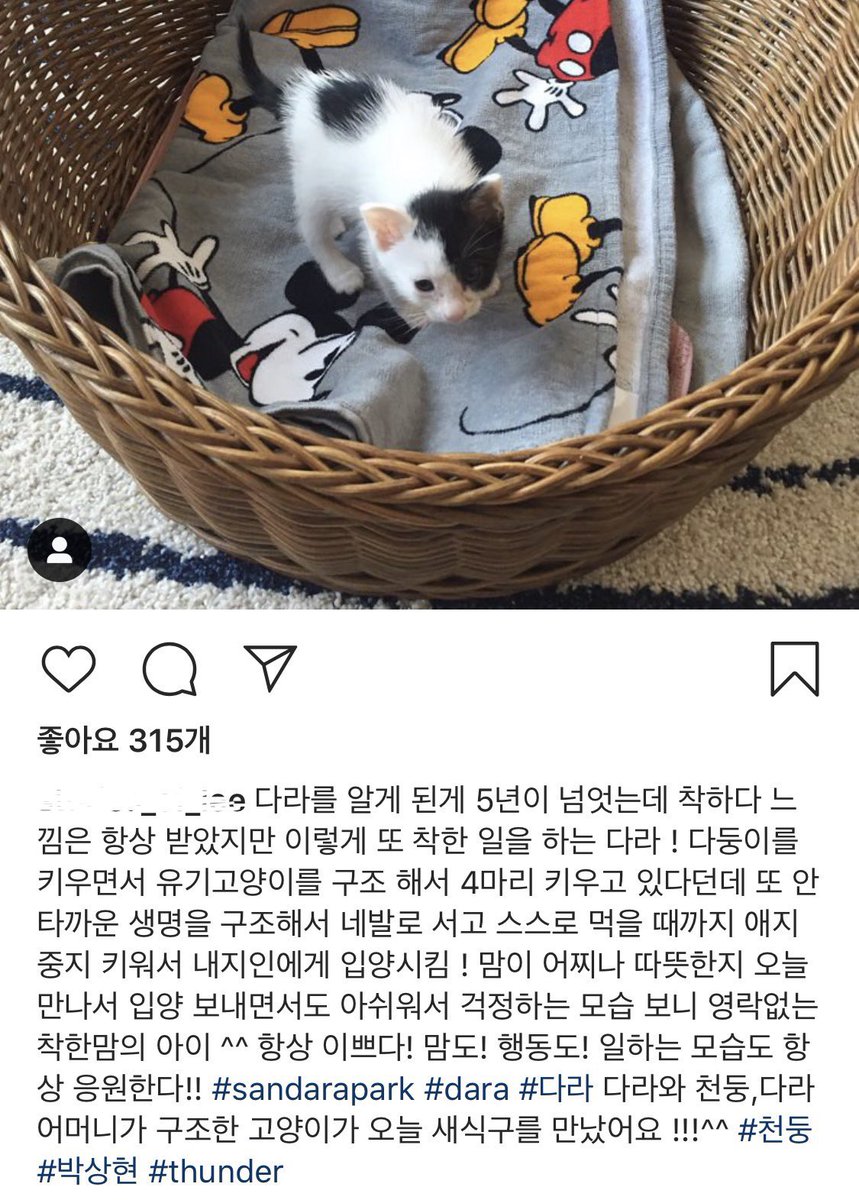 2NE1tv_mp4's tweet photo. 산다라박이 길고양이 6마리를 구조해 키우고 있다는 걸 더 많은 사람들이 알아주면 좋겠다 입양 보낸 친구들까지 합치면 더 많은 생명에게 새로운 가족을 찾아주었을듯 
주기적으로 플리마켓을 열어 수익금은 미혼모 단체와 유기묘 단체에 기부도 하고 있다 https://t.co/4qgK97A0WT