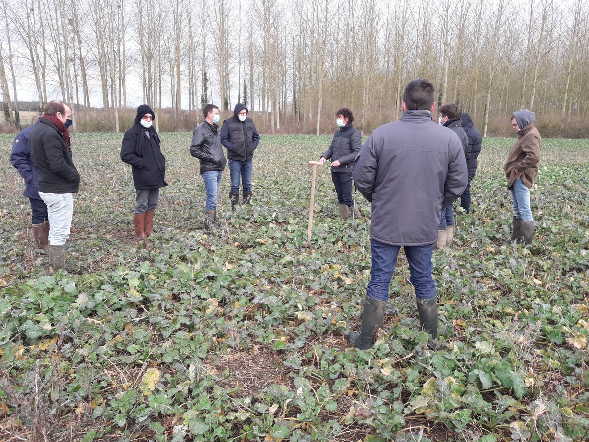 C'est parti  pour le 1er jour de la formation AC. 4 sessions en Pays de la Loire cette année ! Merci à  Vincent pour son partage d'expériences et ses beaux couverts permanents ! #ACS #CultivonsAC