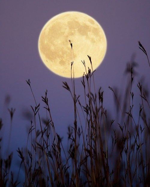 Yoongi as the moon - an aesthetic thread 