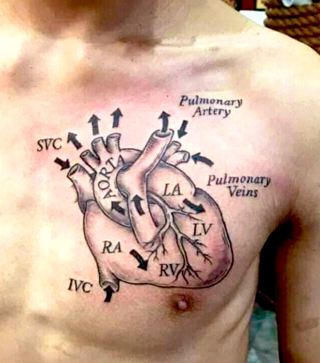 tattoo heart surgery scarTikTok Search