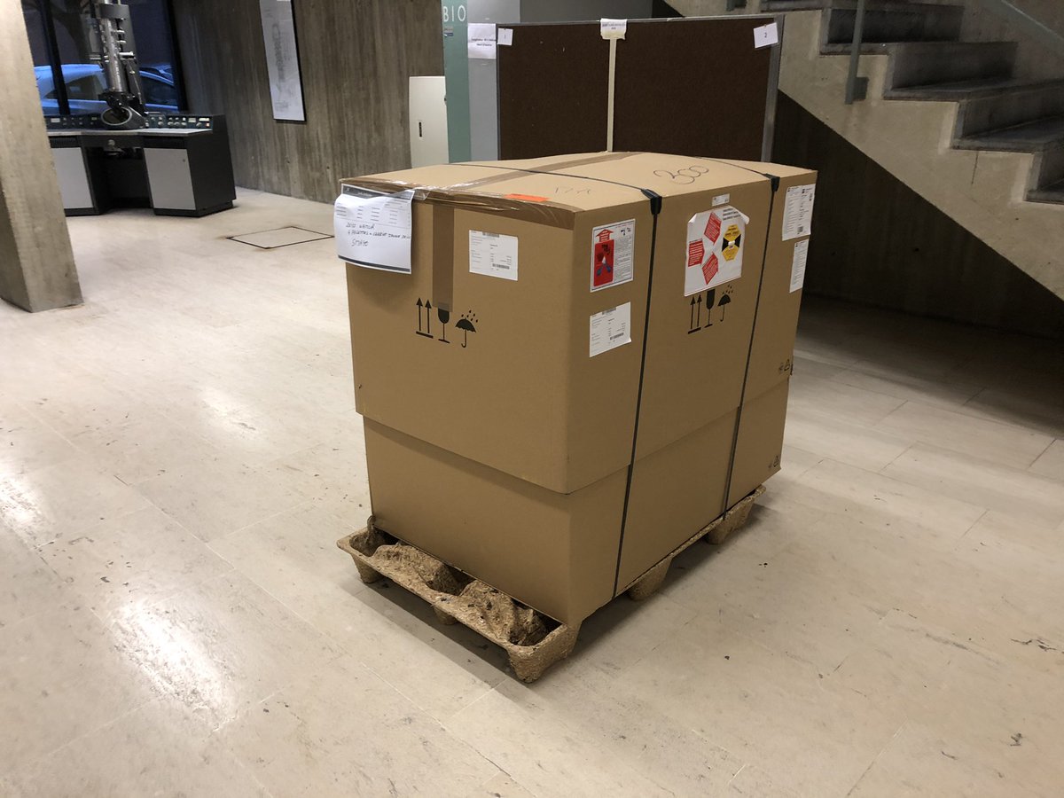 RenardHenriFra1's tweet photo. D-Day! Mic #LSM900 from @zeiss_micro just arrived at @UNamur @narilis_namur 🤩 Dream is coming true! https://t.co/jfFsdpbtBR