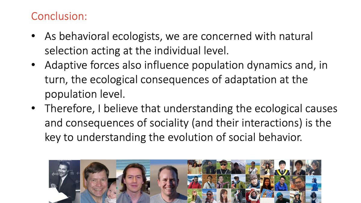 15/15 Thanks  @AnimBehSociety and  @asab_tweets,  @SinicaFans for funding, thanks to my mentors, Steve Emlen, Kern Reeve, and Rufus Johnstone, my collaborators, especially  @DustRubenstein, and my lab members, for their guidance, support, and help.  #AnimBehav2021