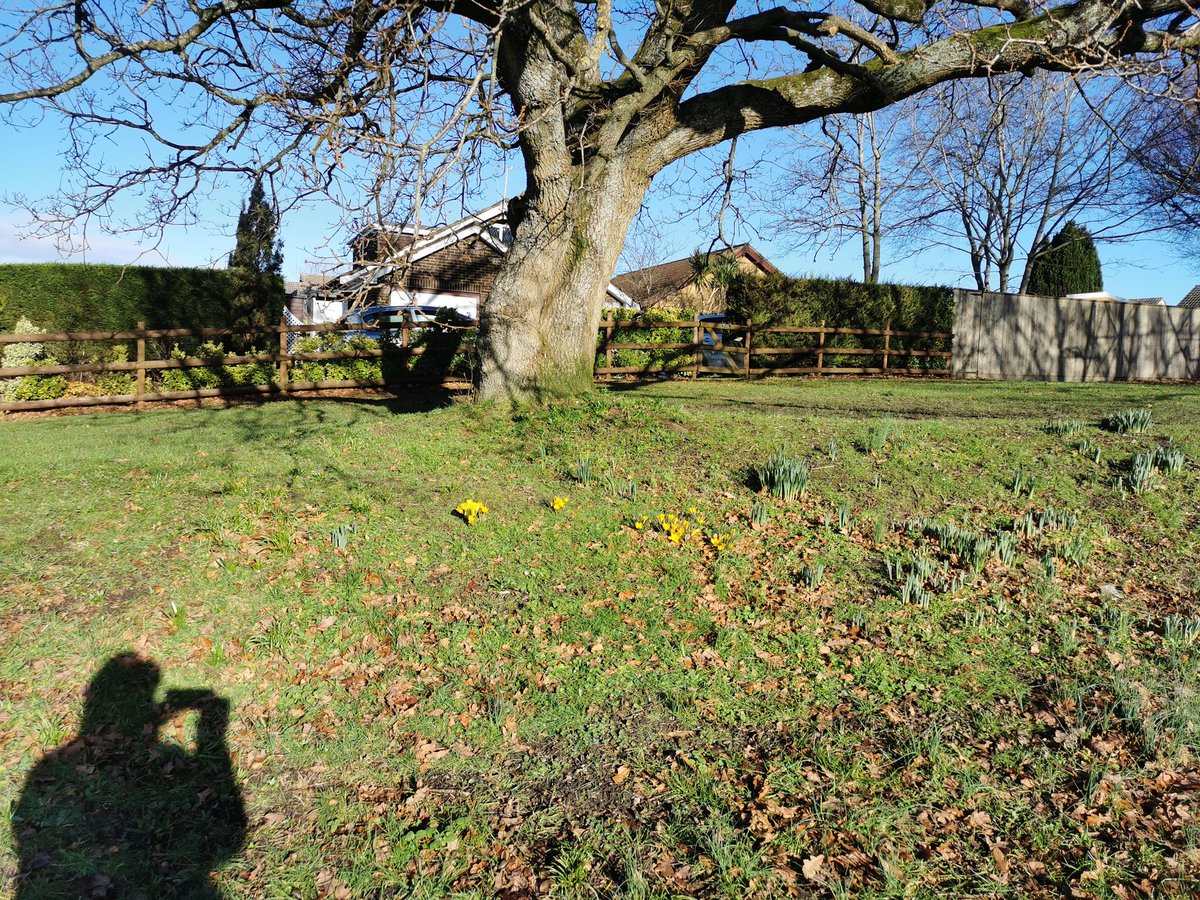 lindaclack77's tweet photo. Living in a beautiful village, #Wareham https://t.co/lj3DUoUZz5