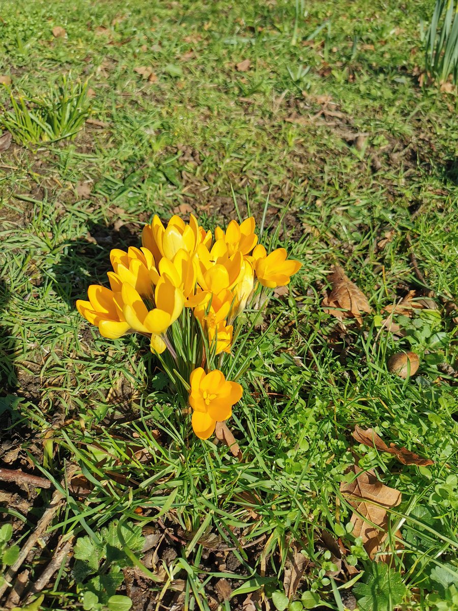 lindaclack77's tweet photo. Living in a beautiful village, #Wareham https://t.co/lj3DUoUZz5