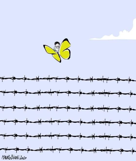 “Ai giovani dico: siate la farfalla gialla che vola sempre sul filo spinato”.

Per il Giorno della Memoria, le parole della Senatrice Liliana Segre.

#Giornatadellamemoria