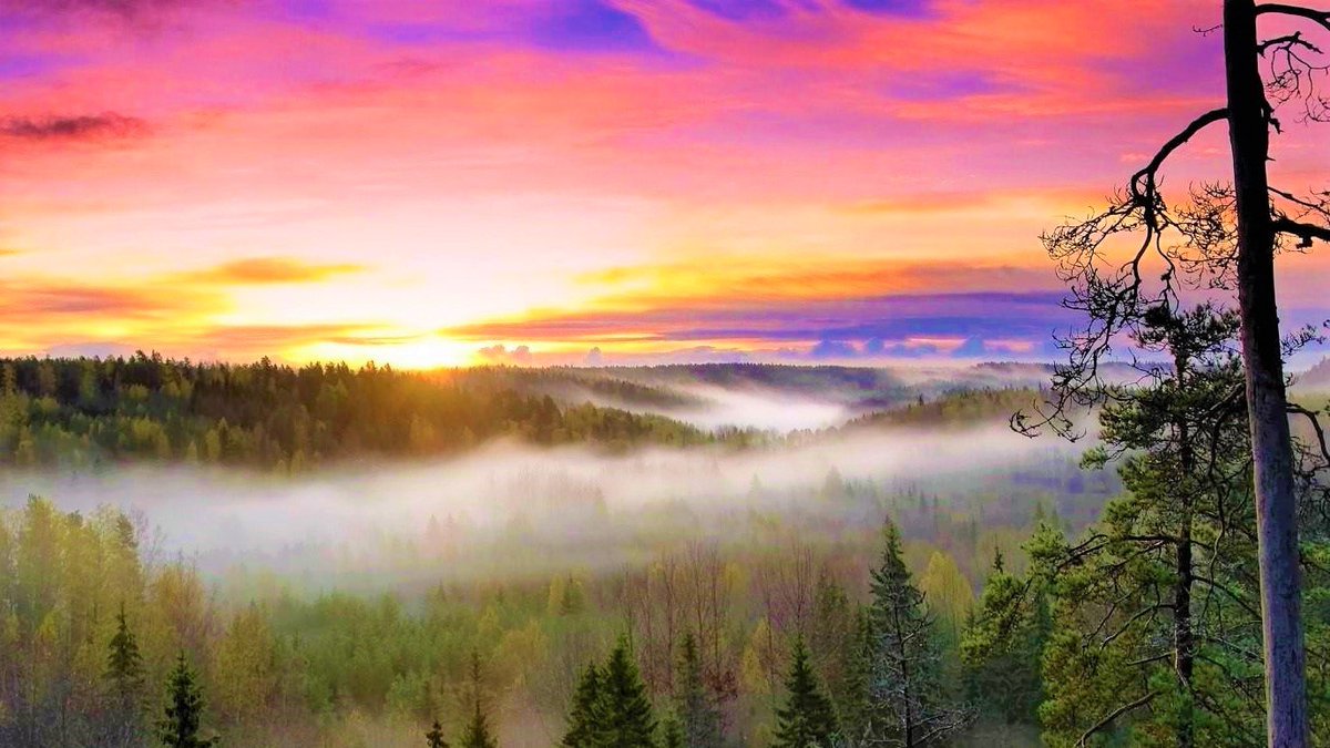 DiscoverFinland's tweet photo. Finland's national parks saw over four million visits last year,  a 23% increase on 2019! https://t.co/Fpbd0wgcN3 Learn more about Finland's 40 National Parks: https://t.co/DWOc65t6Ak https://t.co/Pgg0yqBxci