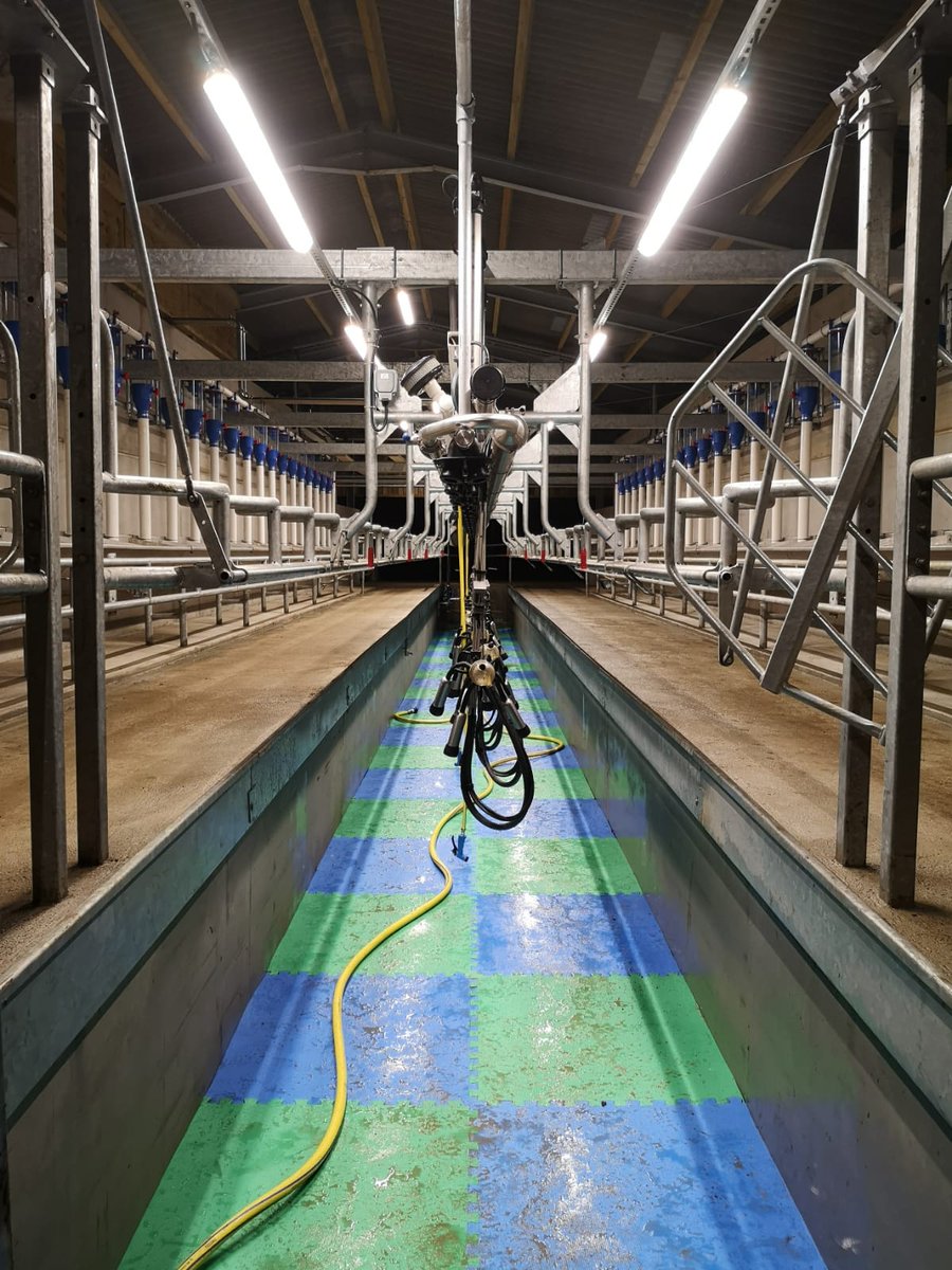 WaikatoMilking's tweet photo. Nice work on this Waikato Supa 4 system installed by Dairycentre for a  farm in Cornwall, UK. This is a Mid-Line, 24x48 milking parlour with our ECR-S, automatic cup removers, to efficiently and gently remove the cups at the end of milking.
#WaikatoMilkingSystems https://t.co/v4elAsJzVM