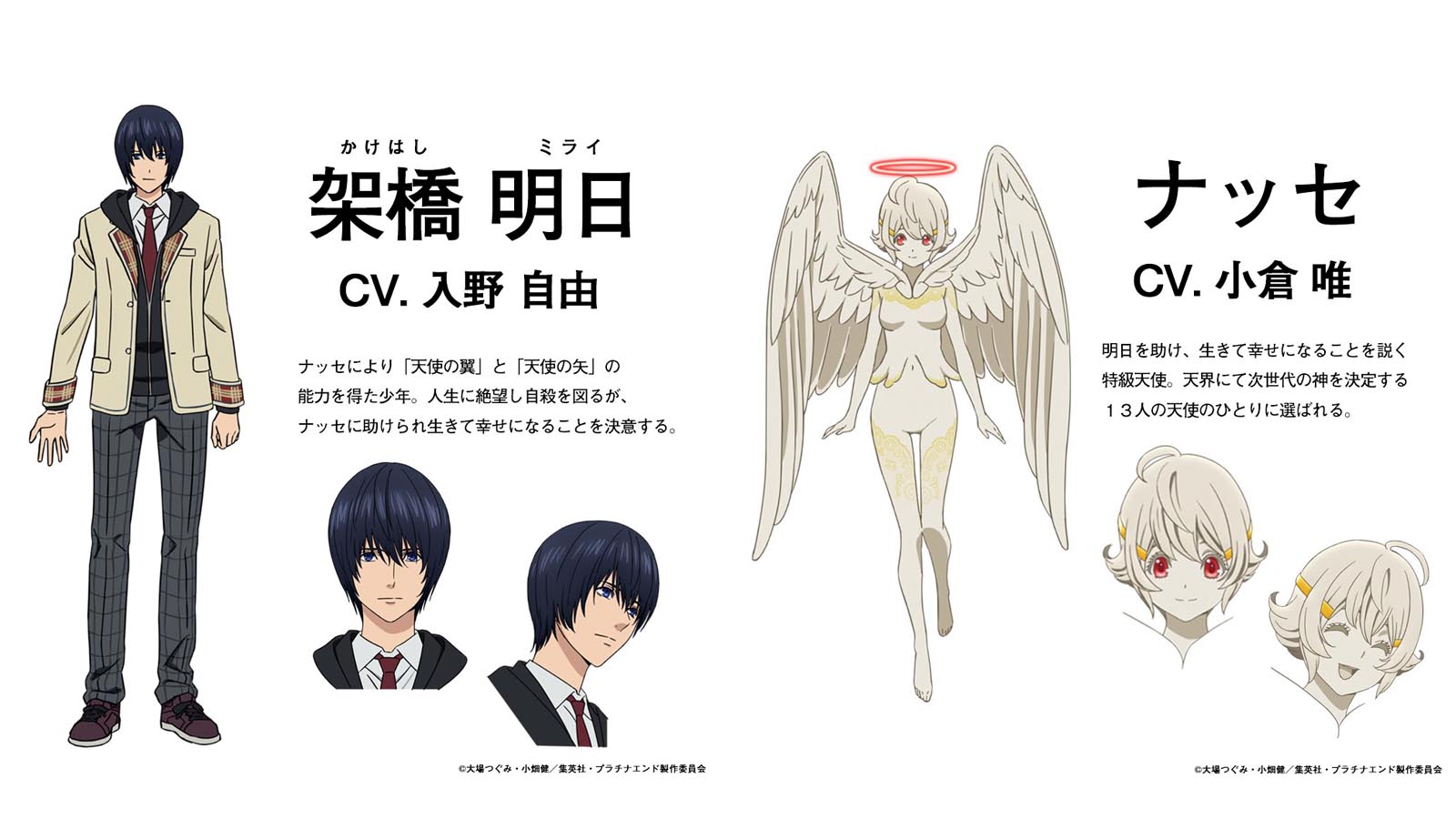 Platinum end nasse
