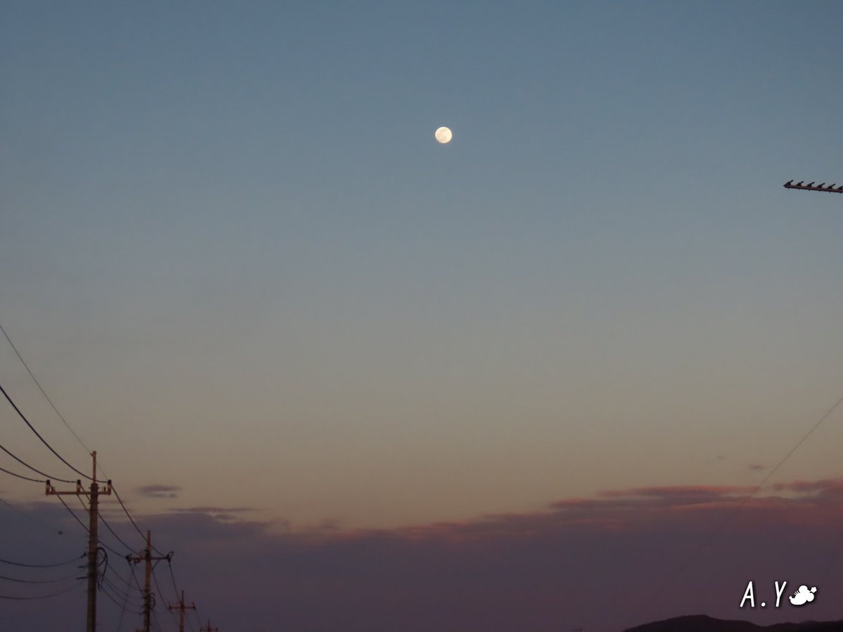 yumeasutw's tweet photo. 空燃ゆる🌆
お疲れ様です🏁
北風が吹き抜ける日没の時🌇
棚引く雲が、暖かなオレンジ色に焼けました💛
東の空には #十五夜 のお月様🌕
#夕空 #夕焼け #鉄塔 #電線 #電柱
#空の名前
#雲の教室
#黄雲
#高積雲
#積雲
#マジックアワー
#ゴールデンアワー
#月 #moon
#茜雲
#a2021 #a0127 #a202101 https://t.co/ezq46lVb0J