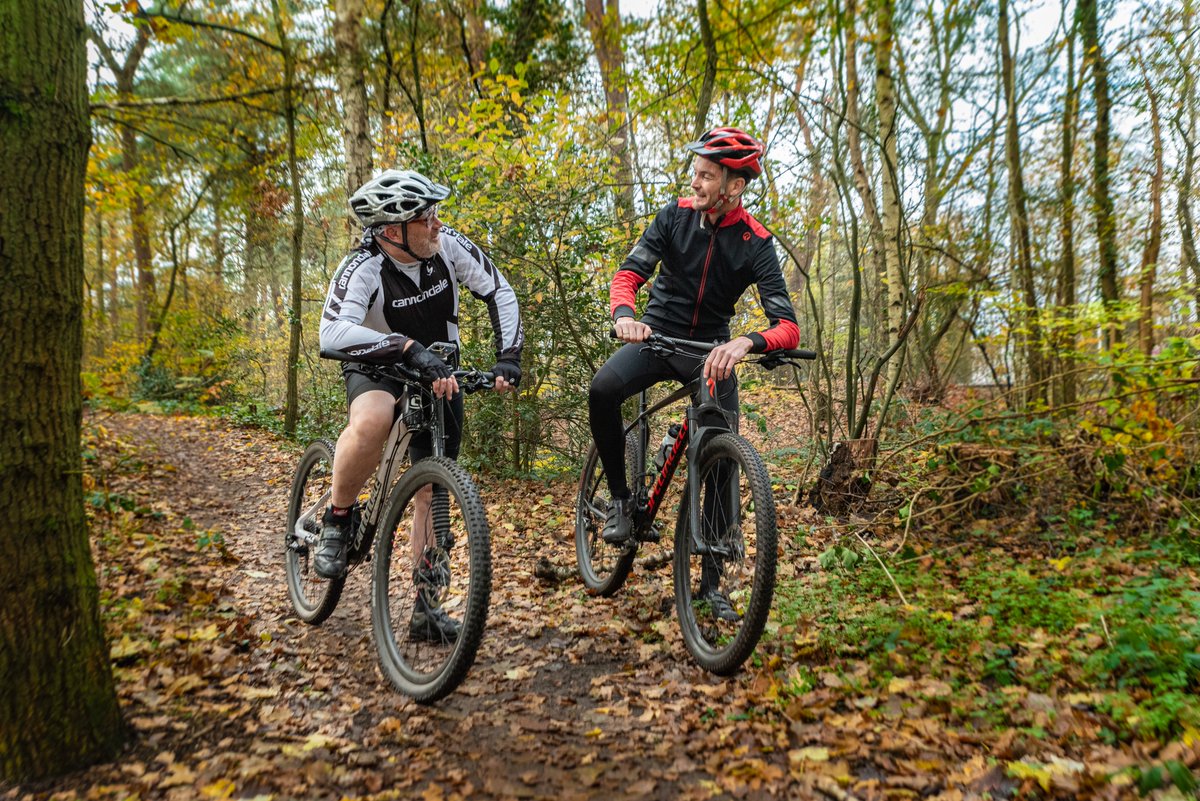 Proximare tweet media