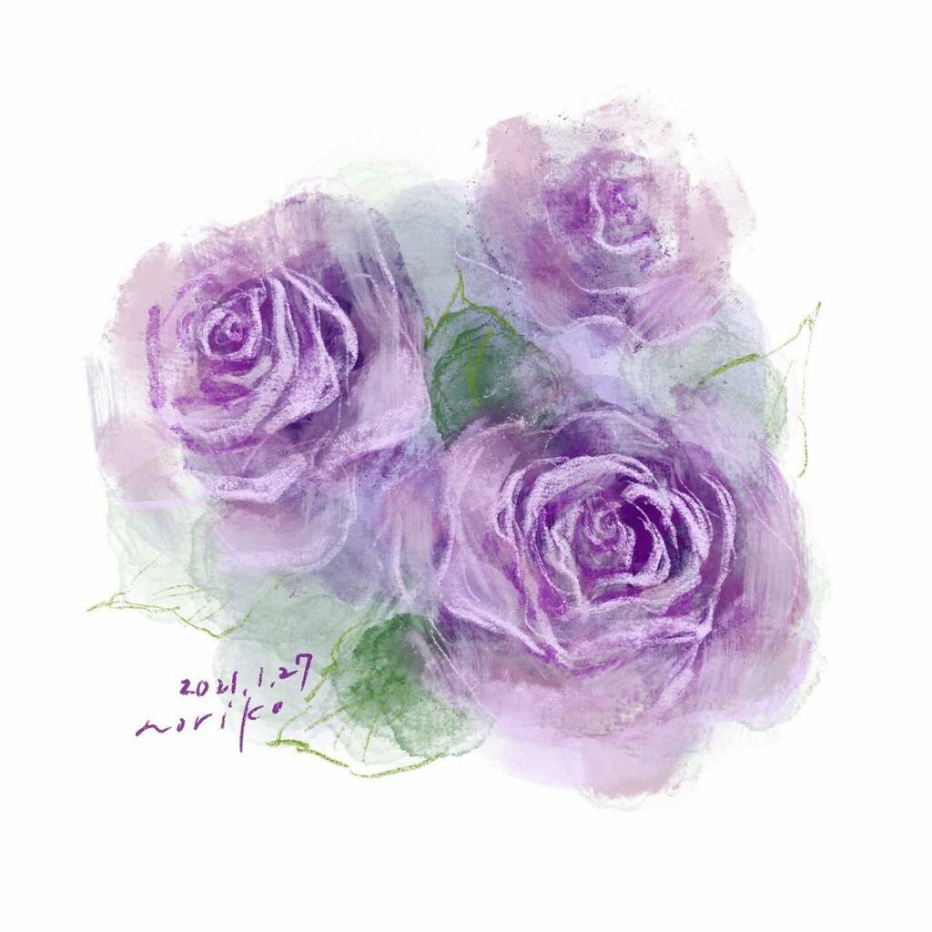 のりこ Rose バラ ブルームーン 花 Flowers Rose Bluemoon Akane Art イラスト Illustration Drawing Art Painting Procreate 一日一絵 Onesktchaday Onedrawingaday 365drawings T Co Dxfauvqwii T Co