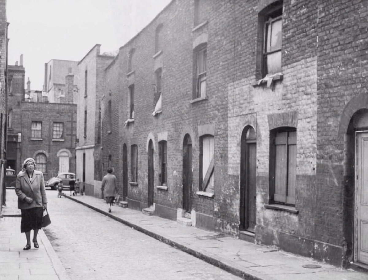 ℝ𝕚𝕡𝕡𝕖𝕣 tweet media