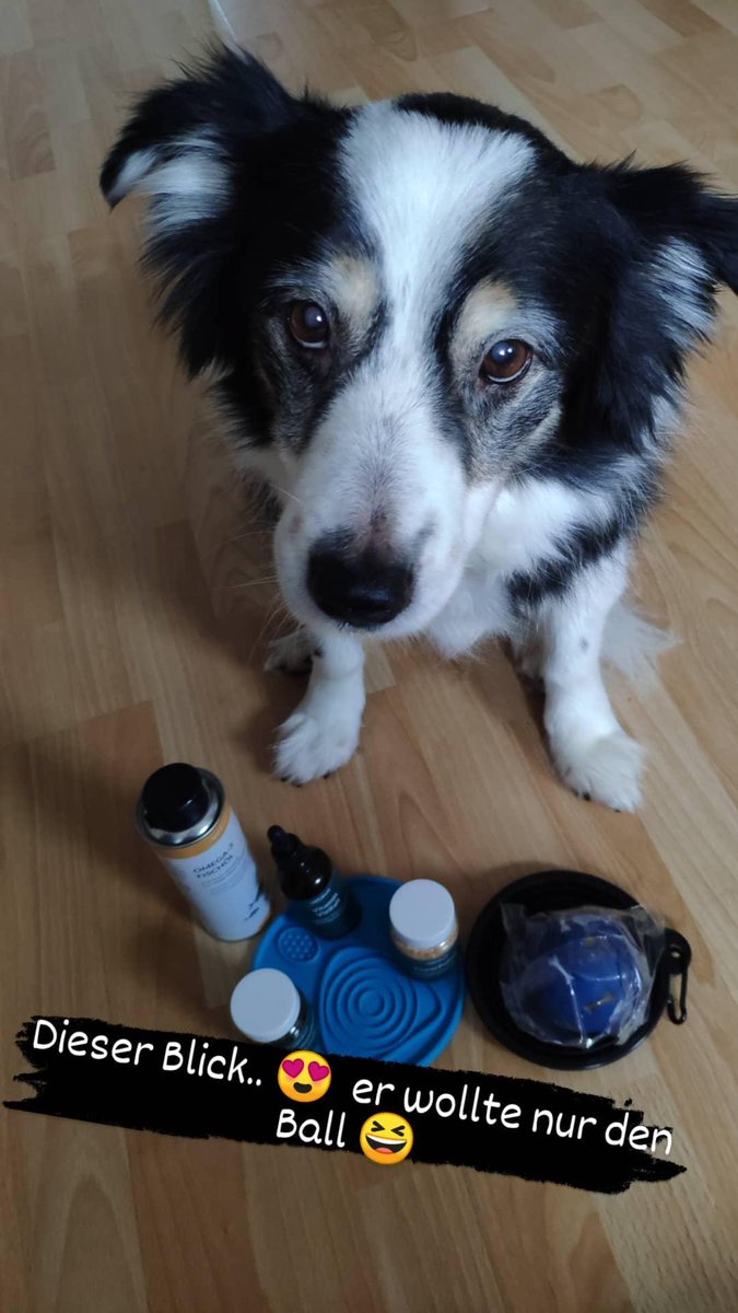 Got some medics to support my renal-sick old boy 😊 danke an <a href="/vetevo_de/">vetevo</a> !
