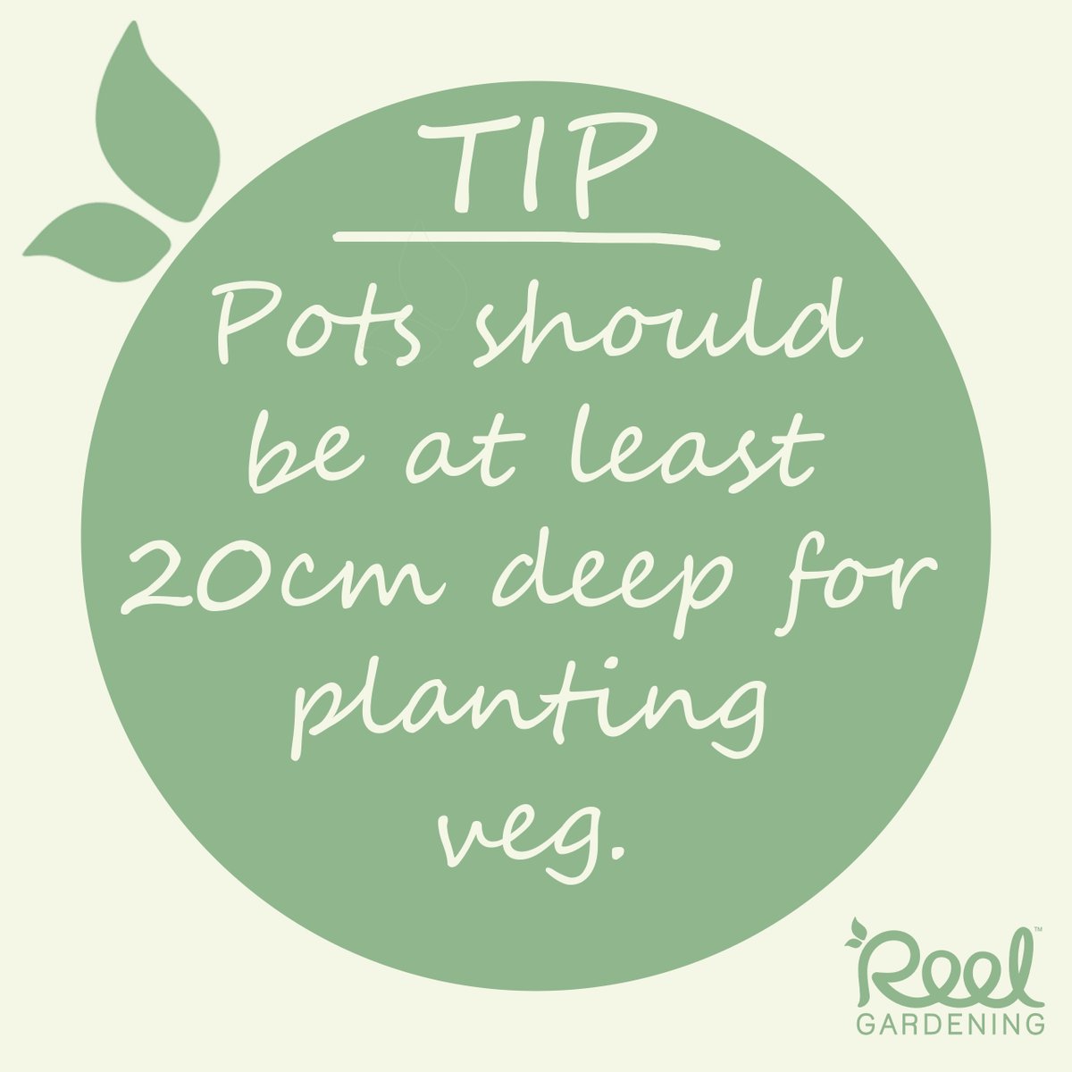 Reel Non Profit Organisation tweet media