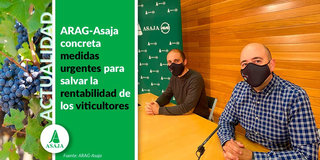 AsajaNacional's tweet photo. 🍇📢 @ARAG_ASAJA solicita más #fondos europeos y nacionales en el plan de medidas de #apoyo al sector #vitivinícola que aplicará el @mapagob en la próxima #campaña

🗣 Es necesario un #presupuesto extraordinario para aumentar la efectividad del #PASVE

📲 https://t.co/ZFHOgKf2pX https://t.co/x6eYnly5xP