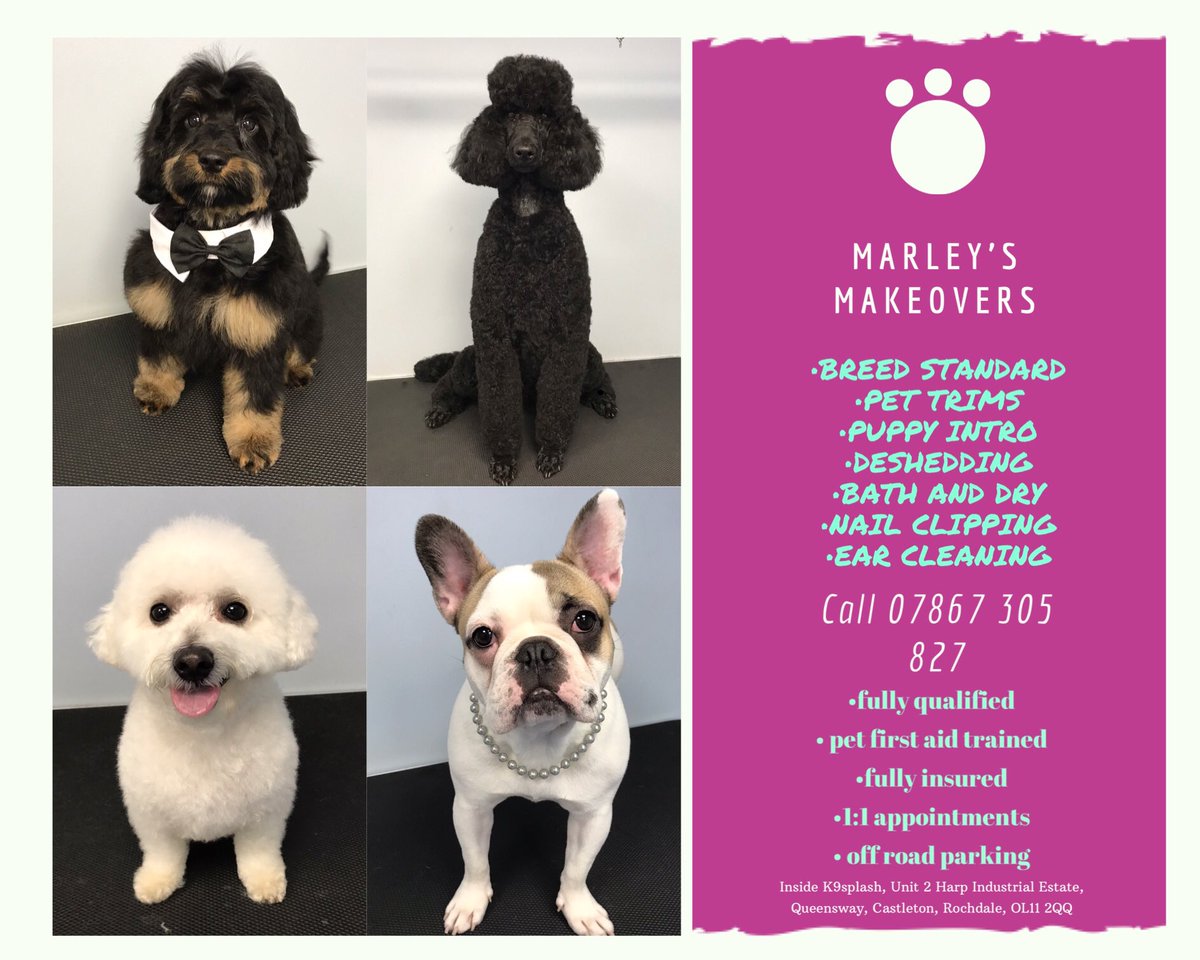 💜🐶 STILL OPEN 🐶💜

We are still open for welfare grooms.

If your dog has any of the following:

•Matted areas 
•Overgrown Nails
•Skin Condition
•Vet Referral

Please get in touch and we can get them booked in for a welfare groom.#Rochdale #rochdalebusiness #heywood #dogs