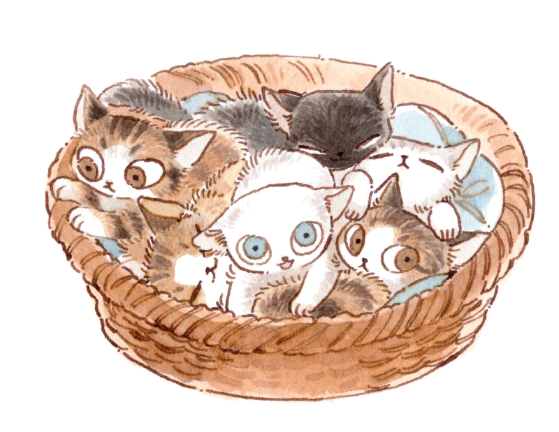 hrcha1010 tweet media