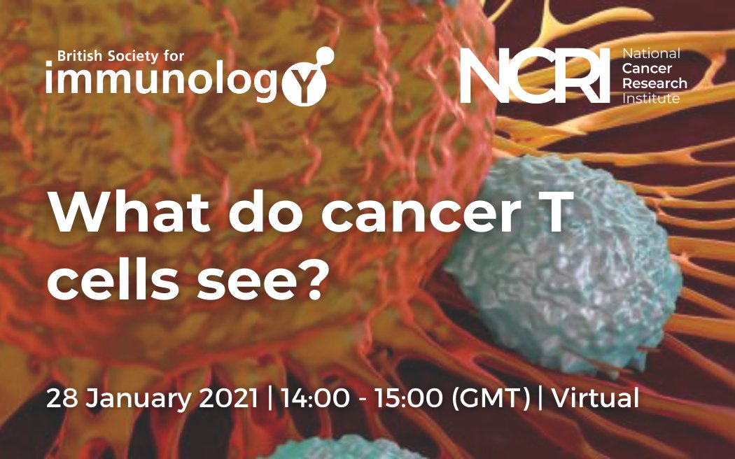 NCRI Partnership (@ncri_partners) on Twitter photo Last chance to register for the next #NCRIVirtual webinar jointly organised with <a href="/britsocimm/">British Society for Immunology</a>
Presented by Prof Lindy Durrant & Dr @MicheleMishto
Book your place 👉 bit.ly/3c4flfs Last chance to register for the next #NCRIVirtual webinar jointly organised with <a href="/britsocimm/">British Society for Immunology</a>
Presented by Prof Lindy Durrant & Dr @MicheleMishto
Book your place 👉 bit.ly/3c4flfs