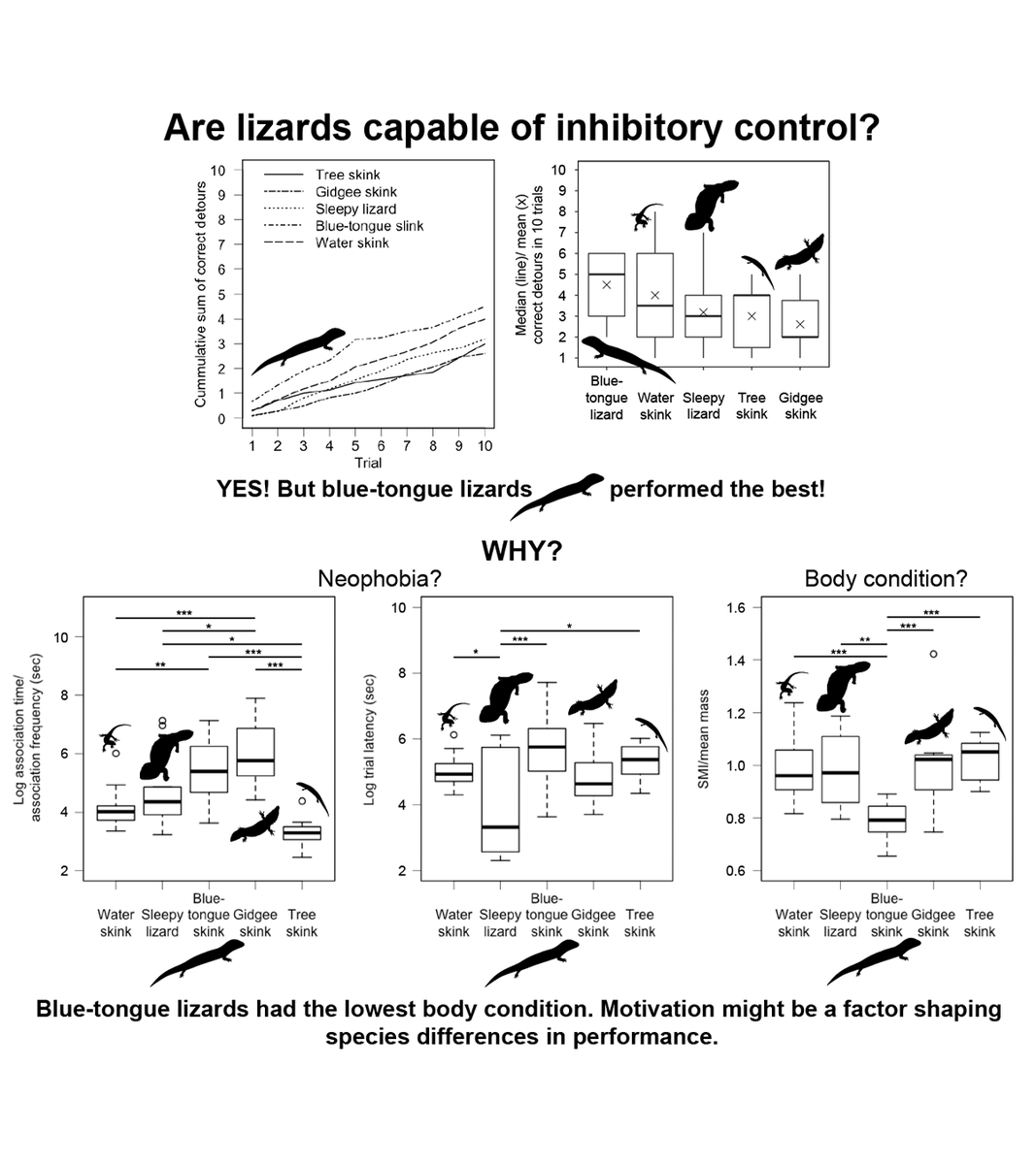 5. All species showed IC but blue-tongue lizards performed the best Most non-cognitive factors we considered did not affect performance, but blue-tongue lizards showed the lowest body condition indicating motivation partly involved in differences across species  #AnimBehav2021