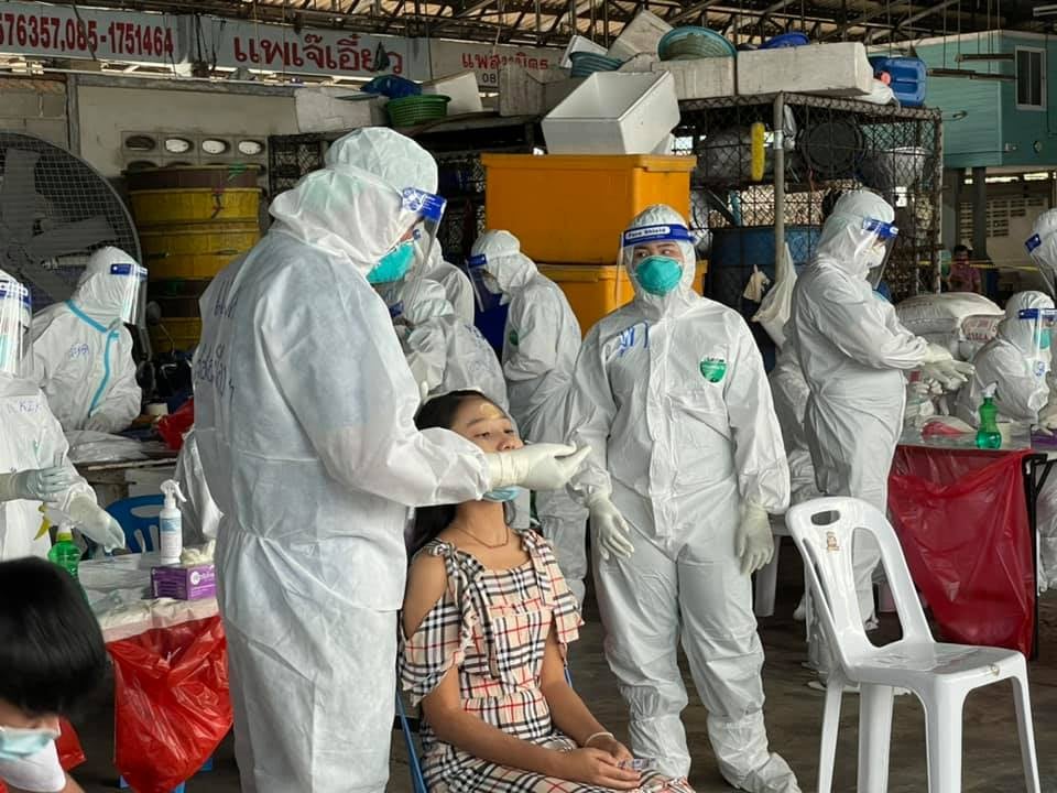 DMScNEWs's tweet image. กรมวิทยาศาสตร์การแพทย์ร่วมกับเครือข่ายขยายศักยภาพการตรวจเชิงรุกระดมค้นหา ผู้ติดเชื้อโควิด-19 ในจังหวัดสมุทรสาคร bit.ly/3abRpEs #โควิด19 #covid #Activecase