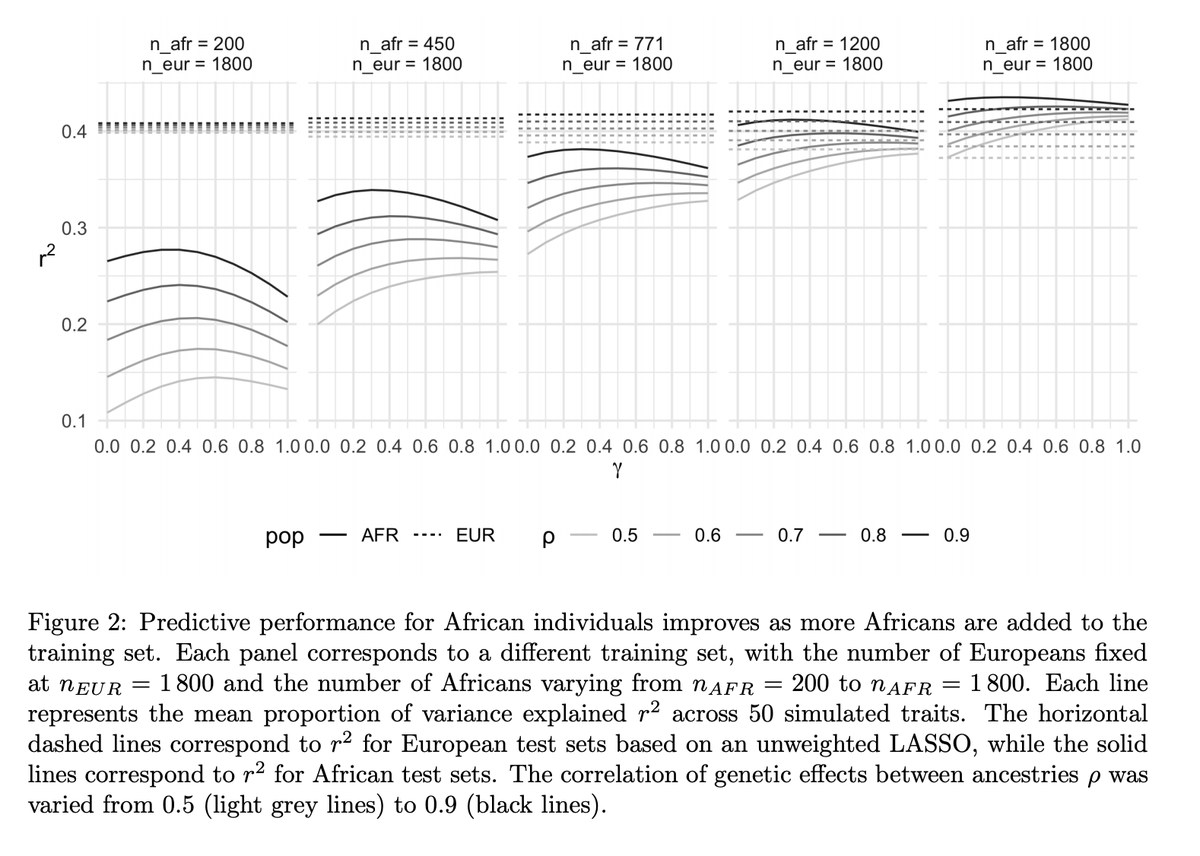 Headline 2: Importance re-weighting can provide modest improvement in PGS performanceWe used importance re-weighting (+ weight to ppl from under-represented groups) to address the ethnicity imbalance artificially. Kiiiiinda worked, but not when the imbalance was big. Booo