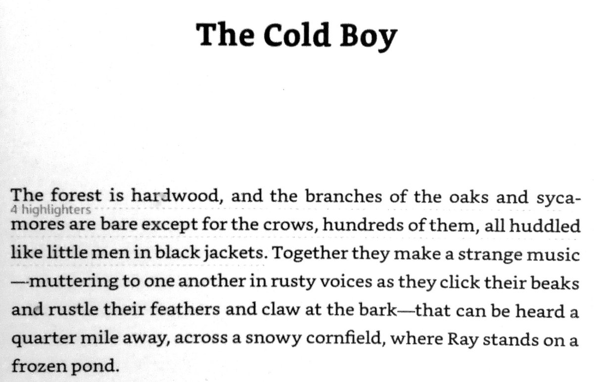 24. "The Cold Boy" by  @Benjamin_Percy from SUICIDE WOODS.