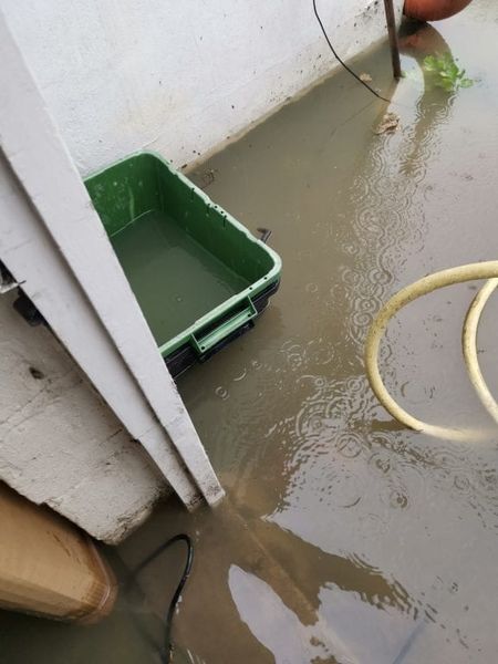 realfixuk's tweet photo. My home has flooded with SEWAGE 17 times in two years – and there’s nothing I can do about it! - 

“There’s been toilet roll, actual faeces, tampons and food waste like chicken, carrots and sweetcorn.

“We did have a dead rat brought in last year."

https://t.co/fdeoz1UeET https://t.co/RyI3zWKUNG