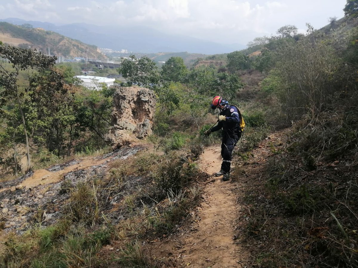 floridabomberos's tweet photo. En esta #temporadaseca☀️ seguimos trabajando para evitar emergencias, el día de ayer controlamos un conato forestal detrás de la empresa Huevos Kikes. Con herramientas manuales 3 #bomberos extinguieron las llamas que afectaron 40 m² de zona vegetal de la montaña. #laborcumplida💪 https://t.co/81XKaTZiwc