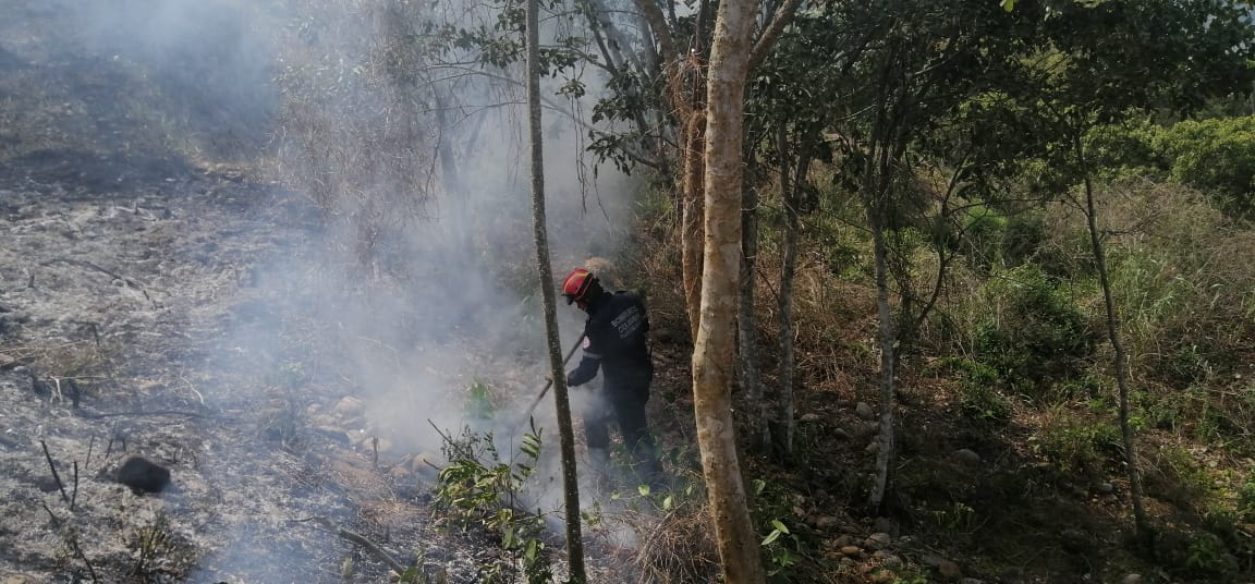 floridabomberos's tweet photo. En esta #temporadaseca☀️ seguimos trabajando para evitar emergencias, el día de ayer controlamos un conato forestal detrás de la empresa Huevos Kikes. Con herramientas manuales 3 #bomberos extinguieron las llamas que afectaron 40 m² de zona vegetal de la montaña. #laborcumplida💪 https://t.co/81XKaTZiwc