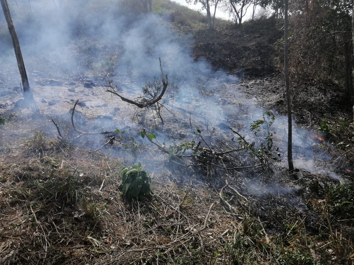 floridabomberos's tweet photo. En esta #temporadaseca☀️ seguimos trabajando para evitar emergencias, el día de ayer controlamos un conato forestal detrás de la empresa Huevos Kikes. Con herramientas manuales 3 #bomberos extinguieron las llamas que afectaron 40 m² de zona vegetal de la montaña. #laborcumplida💪 https://t.co/81XKaTZiwc